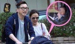 张嘉欣最新爆料,揭秘娱乐圈惊人内幕